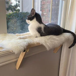 Design House Boutique PurrchPerfect Window Sill Cat Perch Design House Boutique PurrchPerfect Window Sill Cat Perch