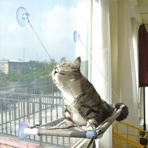 PEFUNY Cat Window Perch PEFUNY Cat Window Perch