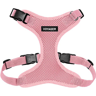 Best Pet Supplies Voyager Adjustable Step-In Harness for Cats Best Pet Supplies Voyager Adjustable Step-In Harness for Cats