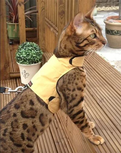 Mynwood Cat Jackets Walking Harness Vest