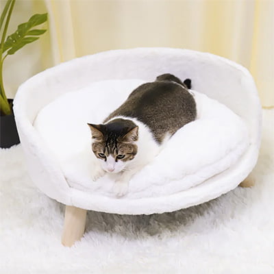 Zariyah Elevated Nordic Dog Sofa Zariyah Elevated Nordic Dog Sofa