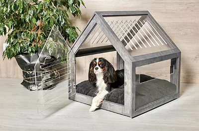 Fully Transparent Modern Dog House Fully Transparent Modern Dog House
