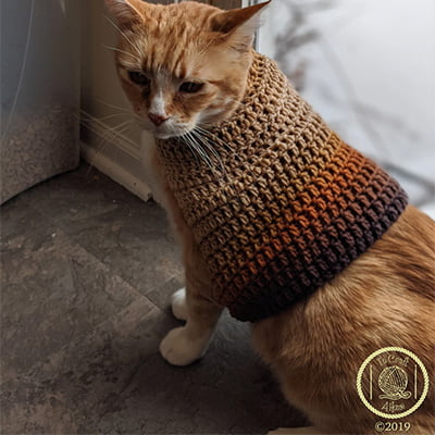To Craft a Home Turtleneck Cat Sweater