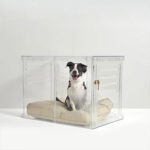 Lynden Clear View Pet Crate