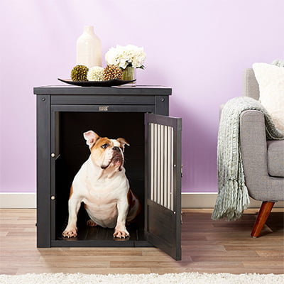 New Age Pet Dog Crate End Table