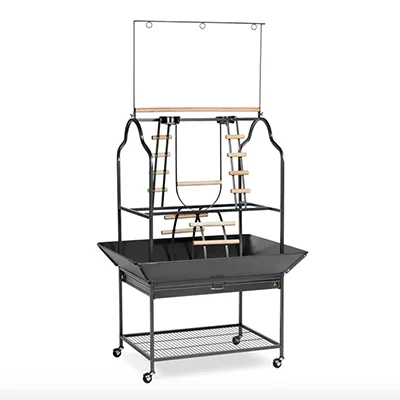 Archie & Oscar Wood & Metal Bird Play Gym