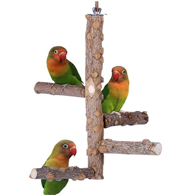Bird Perch Nature Wood Stand