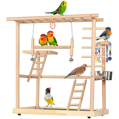 Echaprey Bird Playground Echaprey Bird Playground