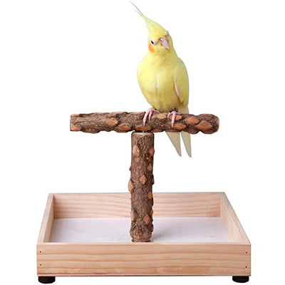 Kintor T-Shaped Tabletop Bird Stand