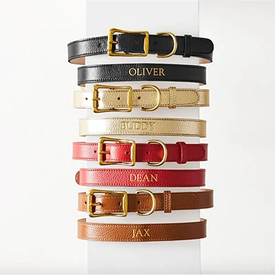 Mark And Graham Leather Dog Collar