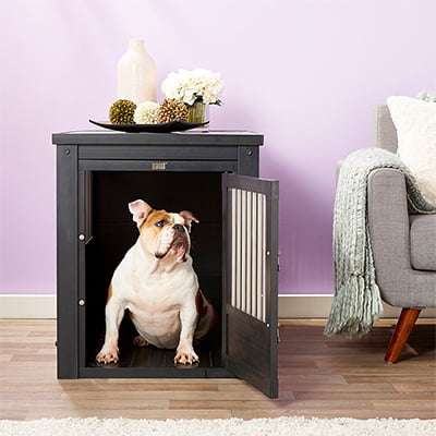 New Age Pet ecoFLEX Furniture-Style Dog Crate End Table