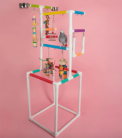 The Ultimate Indulger Play Gym The Ultimate Indulger Play Gym