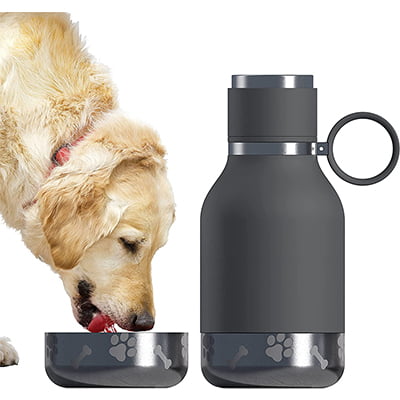 Asobu Stainless Steel Insulated Bottle with Dog Bowl