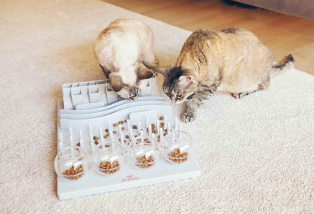 Slow Feeder Cat Bowl