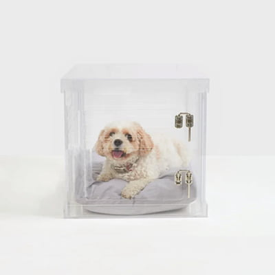 Lynden Clear View Pet Crate