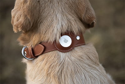 Premium Personalized Leather Apple AirTag Dog Collar