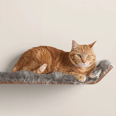 Tuft and Paw Plateau Cat Perch
