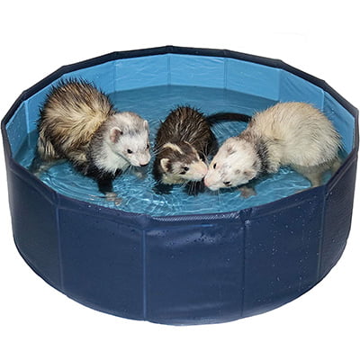 Marshall Pet Products Ferret Swimming Pool