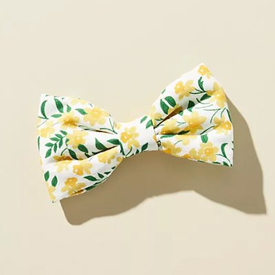  The Foggy Dog Daffodil Bow Tie