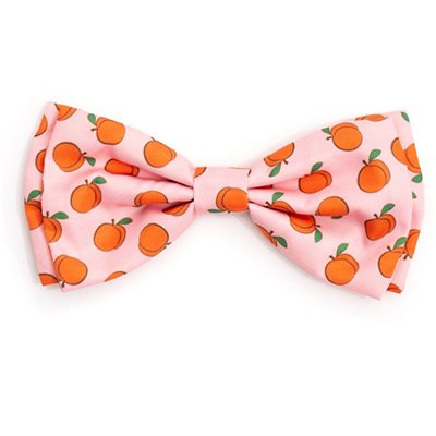  The Worthy Dog Peachy Keen Bow Tie Accessory