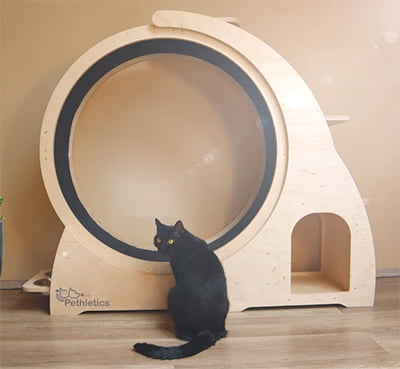 Wooden Cat Wheel, "Wheel or Purrtune"