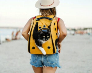 Young woman traveling wearing a cat backpack in the beach