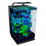 GloFish Aquarium Kit thumbnail