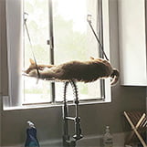 K&H Pet Products EZ Mount Cat Window Perch thumbnail