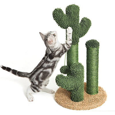 Pesofer Cactus Cat Scratching Post Cat Scratcher