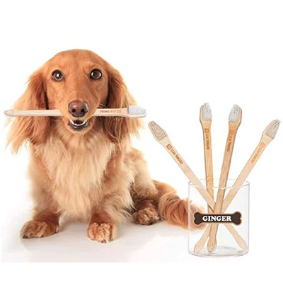 Prymal Pets Dog Toothbrush Prymal Pets Dog Toothbrush