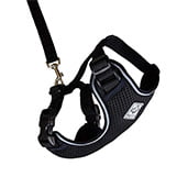 RC Pet Products Primary Collection Adventure Kitty Harness thumbnail