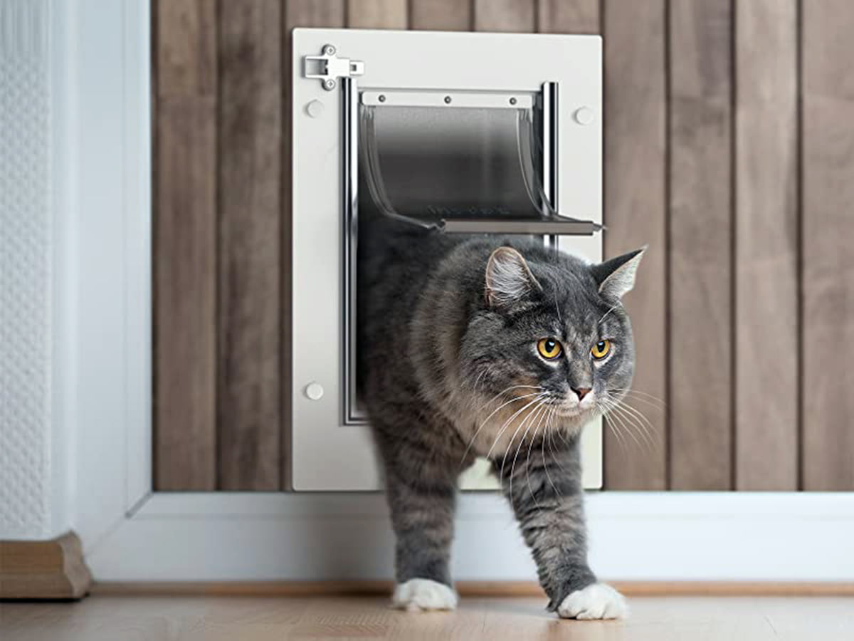 cat door