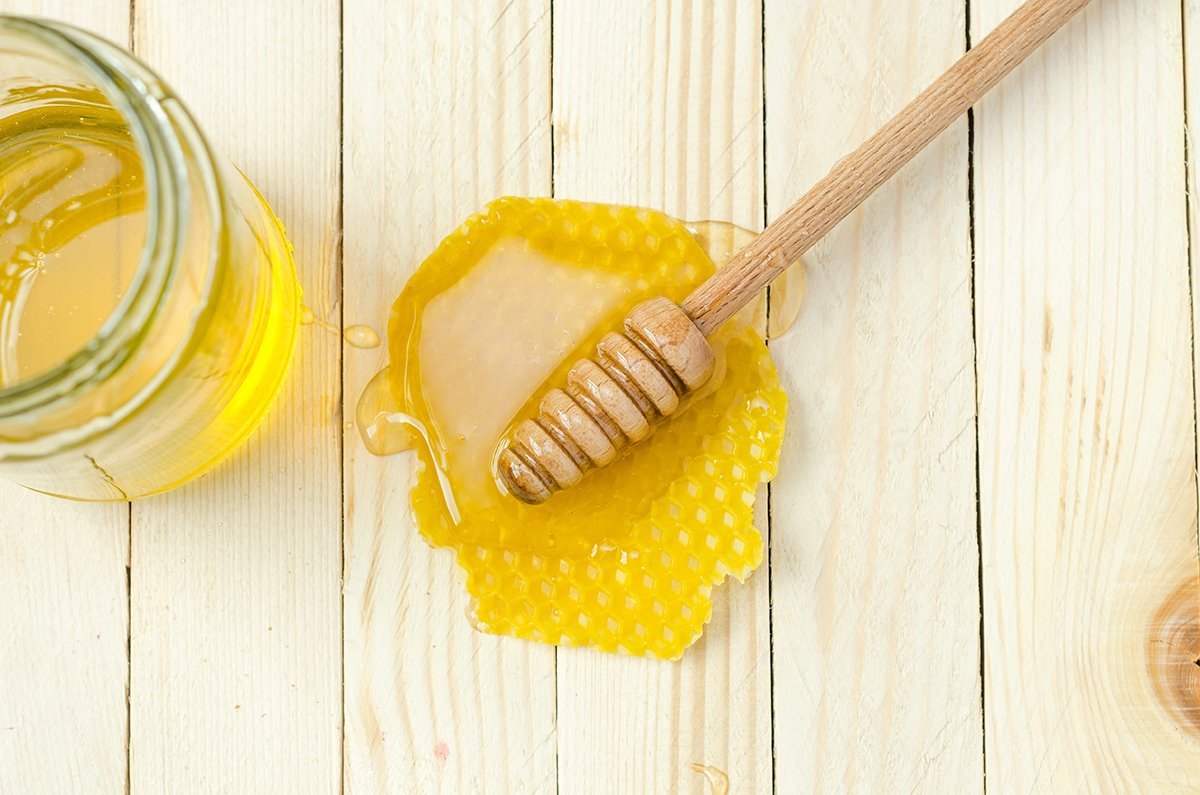 Can Dogs Have Honey? All You Need To Know