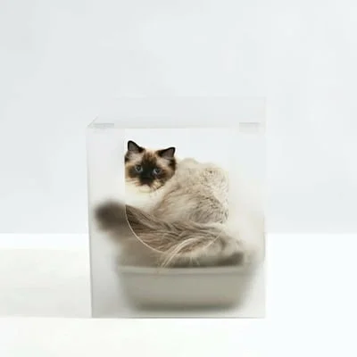 ShopHiddin Frosted Lucite Acrylic Modern Cat Litter Box Cover/Table