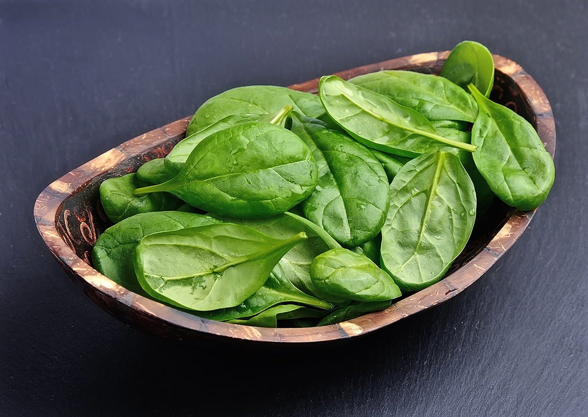 Can Dogs Eat Spinach? All You Need To Know!