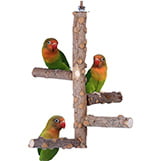 Bird Perch Nature Wood Stand thumbnail