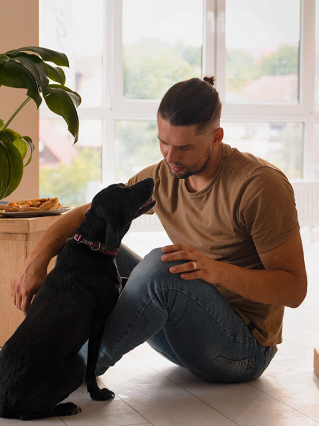 Why Dogs Are Attracted to Cat Litter – and How to Stop It