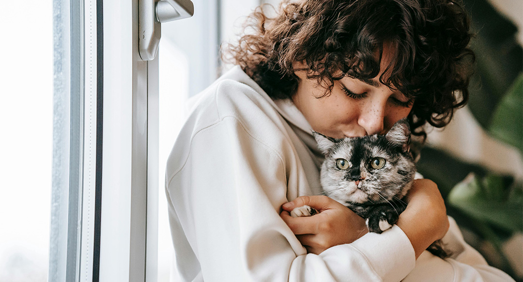 Why Adopting An Adult Cat May Be A Better Choice