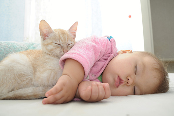 Kitten and baby snuggled together in peaceful sleep