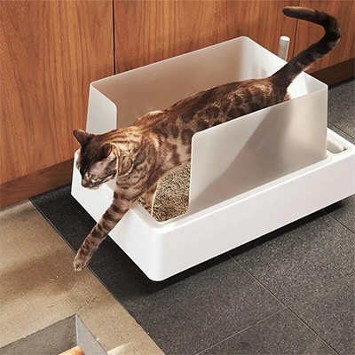 Tuft and Paw Cove Litter Box
