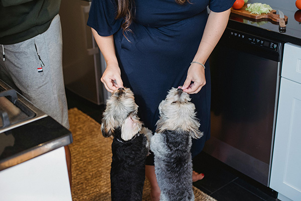 Woman giving treats to her dogs