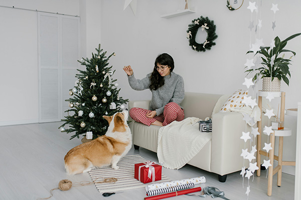 Woman teaching her dog new tricks