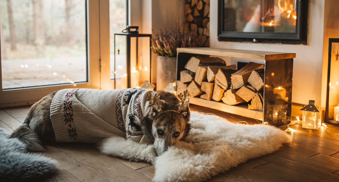 A dog wearing a festive sweater and reindeer antlers lies on a fluffy rug near a fireplace. The cozy room is decorated with candles, lanterns, and stacked firewood.