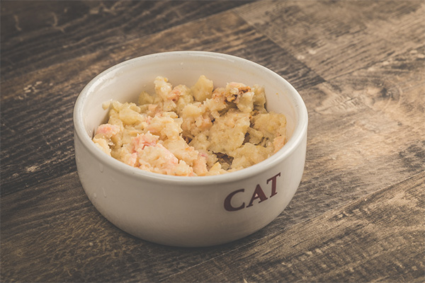A white ceramic bowl labeled "CAT" sits on a rustic wooden surface, filled with wet cat food that appears to have chunks of fish or meat. The texture is soft and moist, typical of wet cat food designed for feline nutrition. The earthy tones of the background complement the natural look of the meal.
