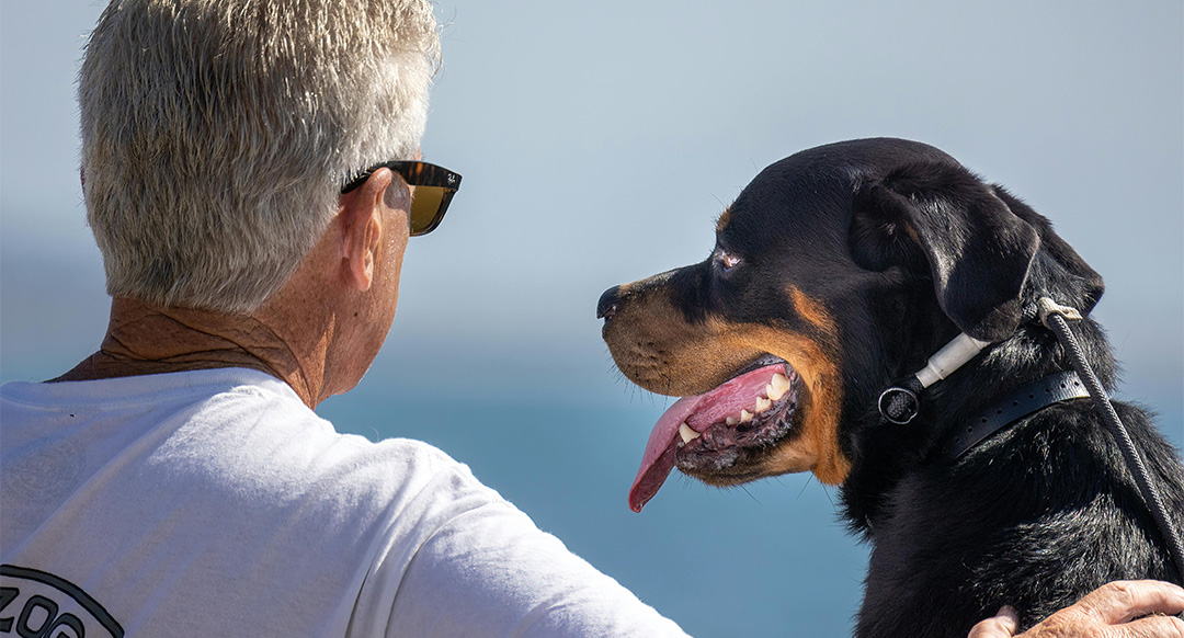 A senior man wearing sunglasses and a white shirt sits beside a large Rottweiler, both facing each other affectionately near a body of water. The dog’s tongue is out, and the moment captures a sense of companionship and calm between the two.