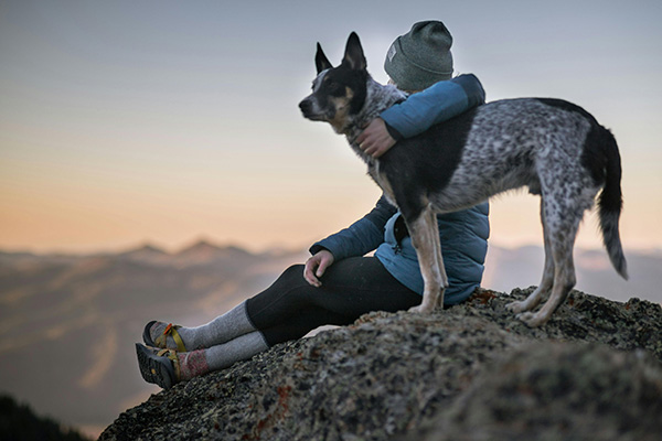 Blue Heeler mountain hiking with owner Blue Heeler stands alert on a mountain peak beside its owner, who sits on a rocky ledge at sunrise or sunset with a scenic view of distant mountains. The person has one arm wrapped around the dog, capturing a peaceful and adventurous hiking moment.