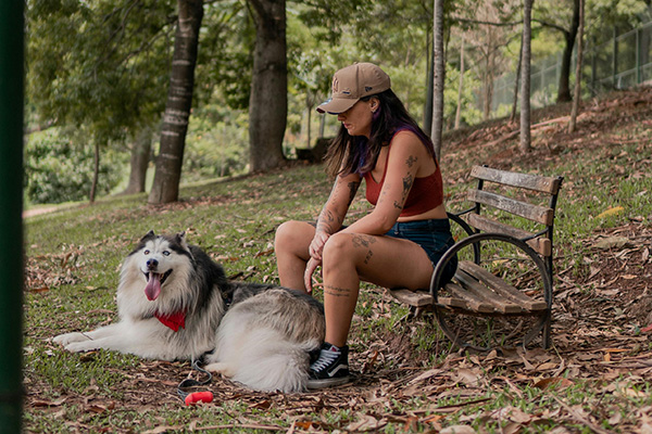 Alaskan Malamute in the park A woman with tattoos and a tan cap sits on a wooden park bench beside a fluffy Alaskan Malamute wearing a red bandana. The dog lies in fallen leaves with its tongue out, looking happy and relaxed under the shade of tall trees.
